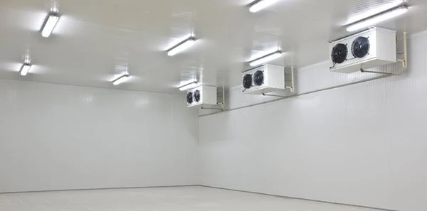 cold room 1