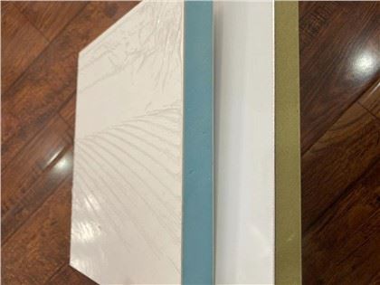 FRP Gelcoat Panel pro chladničku RV Truck